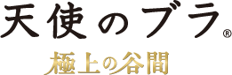天使のブラ 極上の谷間