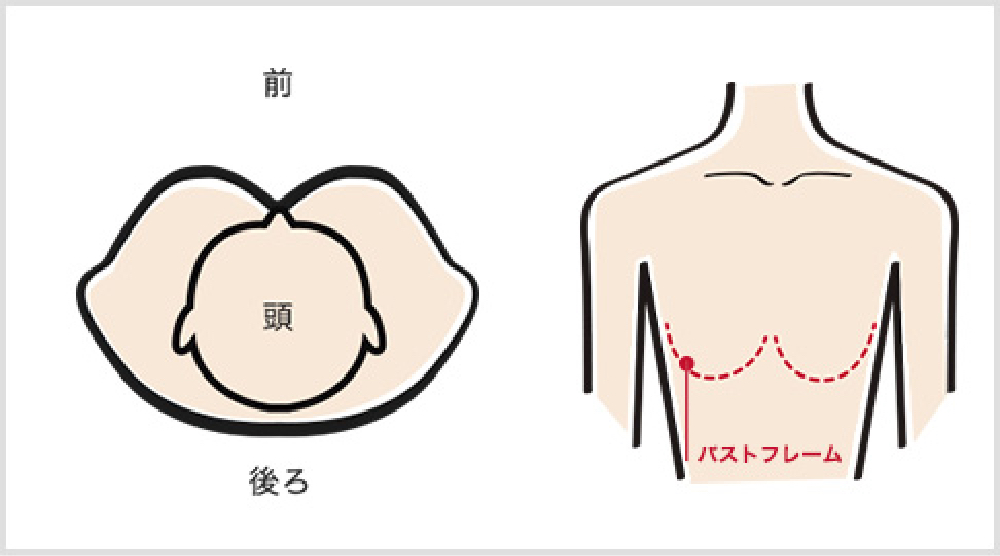 からだの幅に対して厚みがある体型
